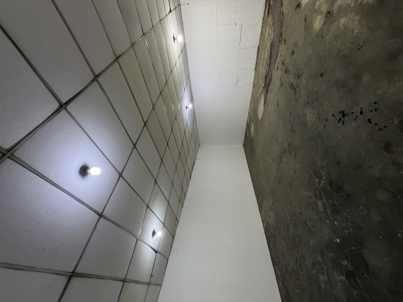 Restauracion estructural